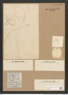 Campylodiscus ralfsii W. Sm. (de-Toni-Nr.: Genus 57, Species 2444) Zeichnungen Sammlung Grunow Nr. 4910 (NHMW-BOT-W0373113)